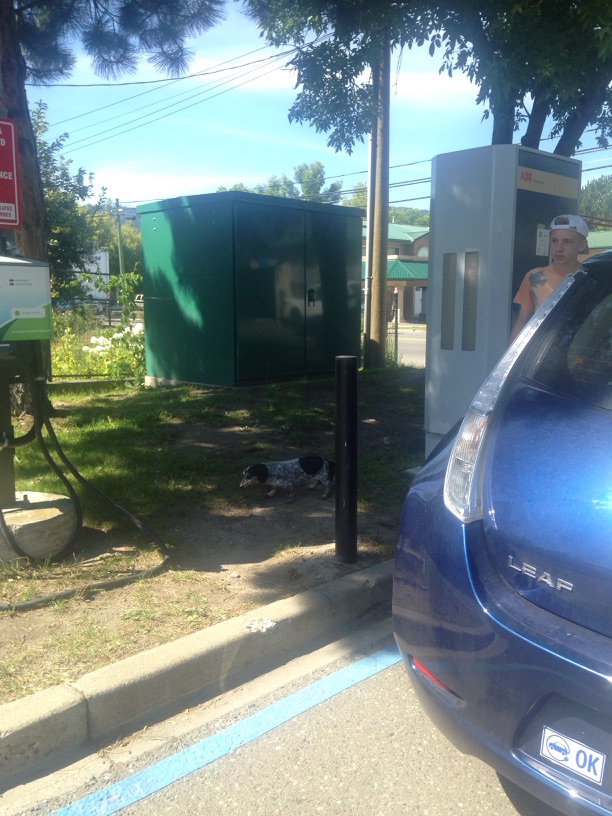 Merritt, British Columbia EV Charging Stations Info | ChargeHub